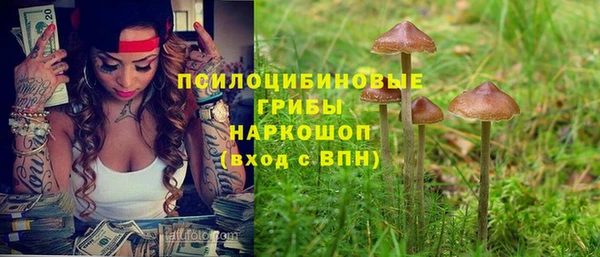 кокс Баксан
